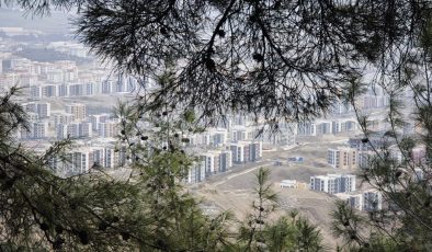 Nilgün Karasu Kesilen Zeytin Ağaçları için Tepkisiz Kalmadı.