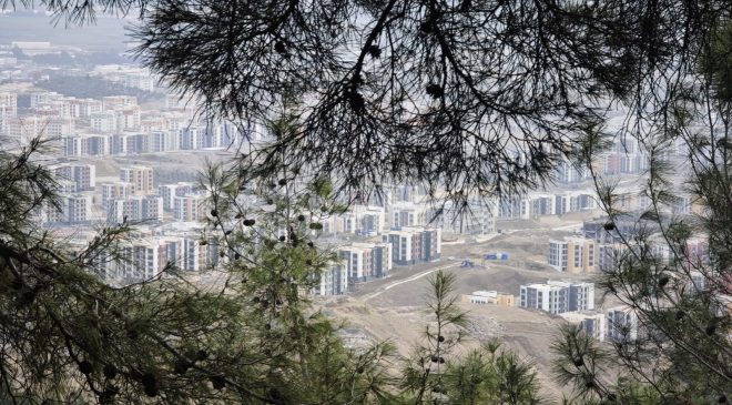 Nilgün Karasu Kesilen Zeytin Ağaçları için Tepkisiz Kalmadı.