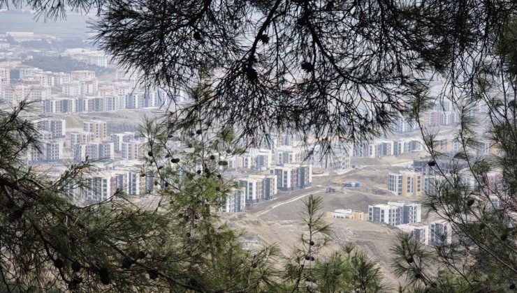 Nilgün Karasu Kesilen Zeytin Ağaçları için Tepkisiz Kalmadı.